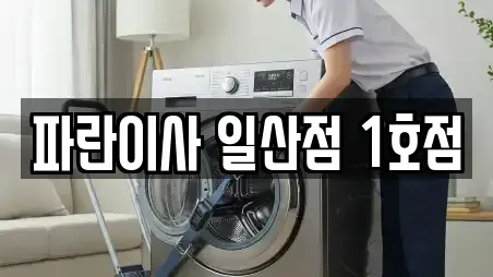 파란이사 일산점 1호점